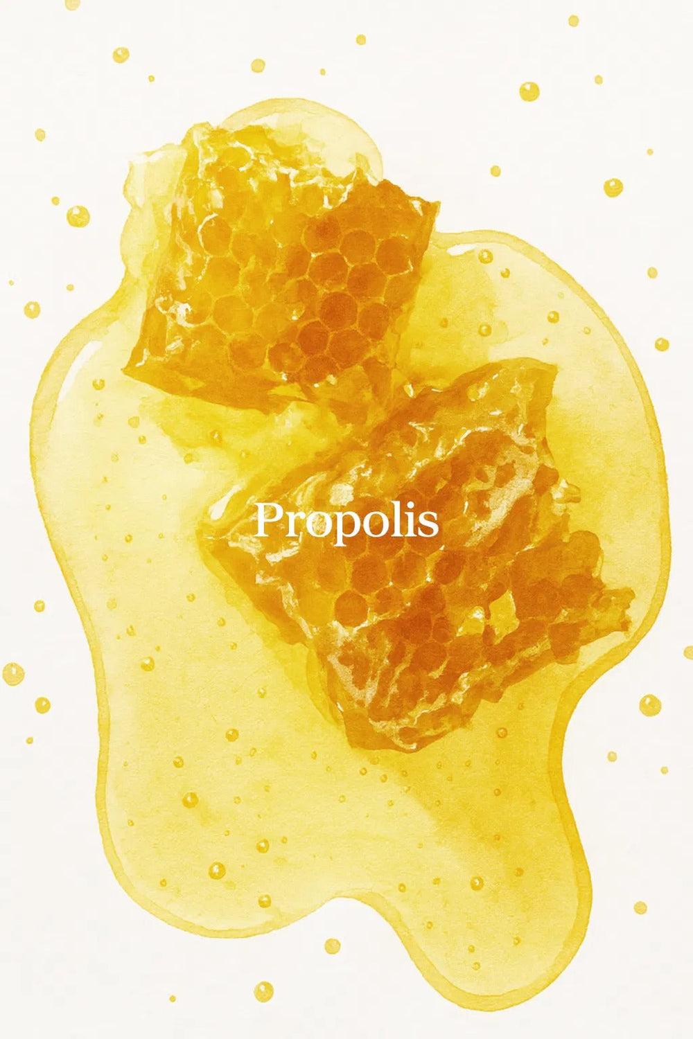 Propolis